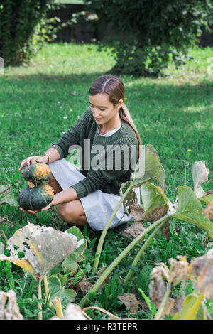 Giovane donna Raccolta zucche in giardino Foto Stock