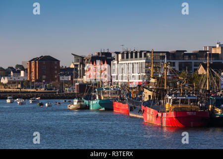 L'Irlanda, nella contea di Wexford, la cittadina di Wexford, barche sul Fiume Slaney, alba Foto Stock