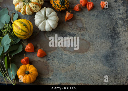 Decorazione autunnale, zucche ornamentali Foto Stock