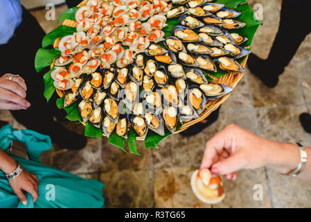 Vassoio di cozze cotte con spezie servito ad una festa gastronomica. Foto Stock