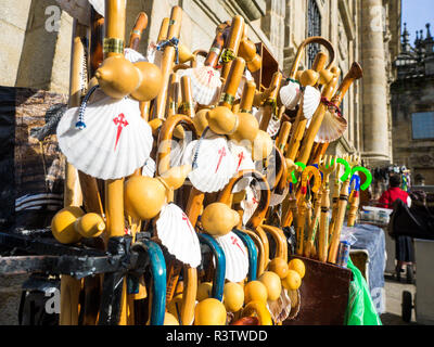 Bastoni da passeggio con il guscio che rappresenta il Camino de Santiago Foto Stock