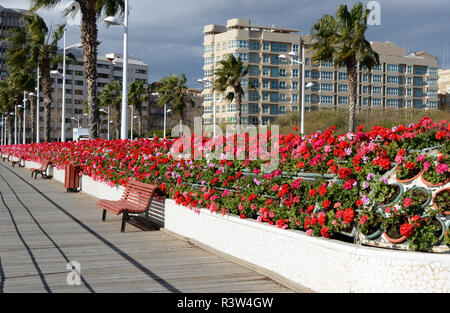 Ponte di fiori in Valencia, Spagna Foto Stock