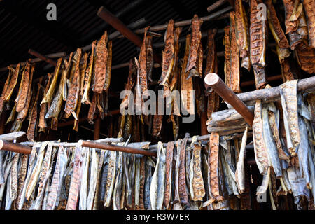 Stati Uniti d'America, Alaska Fairbanks. Chena villaggio indiano, casa di fumo con strisce di salmone essiccazione. Foto Stock