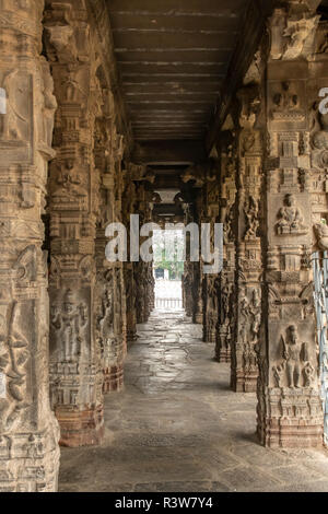 Colonne scolpite, Varadhajara Perumal Temple, Kanchipuram, Tamil Nadu, India Foto Stock