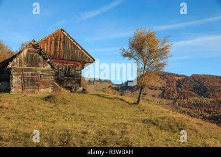 La Romania, Transilvania, Carpazi, Magura, Piatra Craiului National Park. Tradizionale rumena farm house. Foto Stock