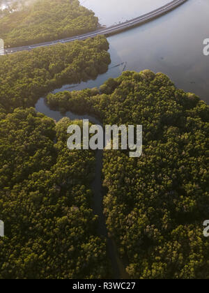 Indonesia, Bali, vista aerea di una strada che attraversa la foresta di mangrovie lungo la costa Foto Stock