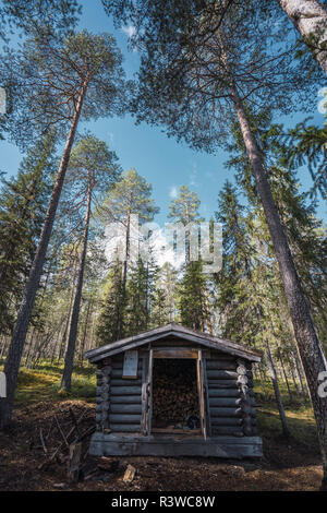 Finlandia, Vikakongas, granaio in legno con il fuoco di legno in foresta Foto Stock