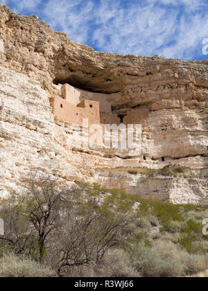 Arizona, Montezuma Castle National Monument, a cinque piani 20 camera cliff abitazione costruita nella roccia calcarea Foto Stock