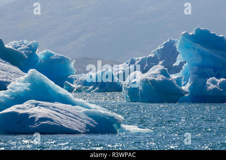 Iceberg alla deriva nel fiordi della Groenlandia meridionale, Danimarca Foto Stock