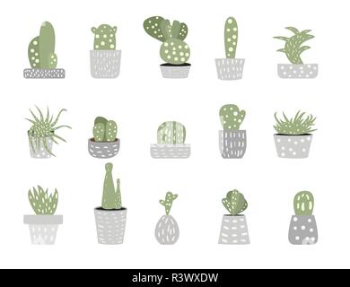 Vettore design cactus set. Collezione di piante succulente isolati su sfondo bianco. Illustrazione Vettoriale
