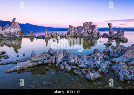 Luce di Alba e torri di tufo a lago Mono, Mono Basin National Scenic Area, California, Stati Uniti d'America Foto Stock