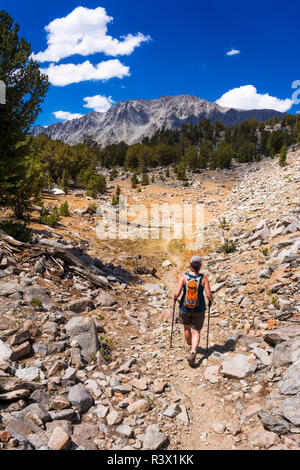 Escursionista sulla parte superiore grande pino sentiero dei laghi, John Muir Wilderness, Sierra Nevada, in California, Stati Uniti d'America (MR) Foto Stock