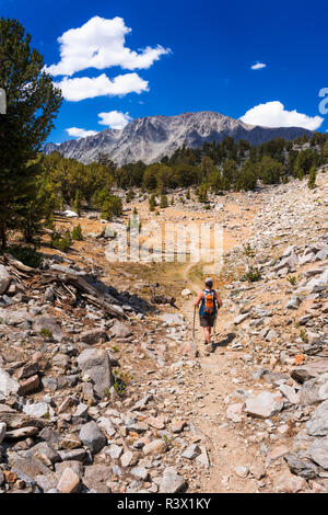 Escursionista sulla parte superiore grande pino sentiero dei laghi, John Muir Wilderness, Sierra Nevada, in California, Stati Uniti d'America (MR) Foto Stock