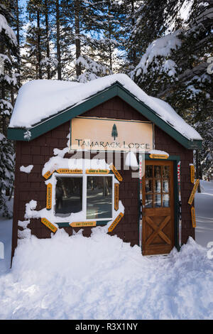 Tamarack Lodge cross-country ski capanna, Inyo National Forest, California, Stati Uniti d'America Foto Stock