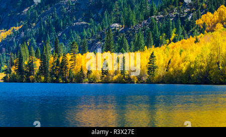 Autunno a colori Argento lago lungo il lago di giugno Loop, Inyo National Forest, California, Stati Uniti d'America Foto Stock