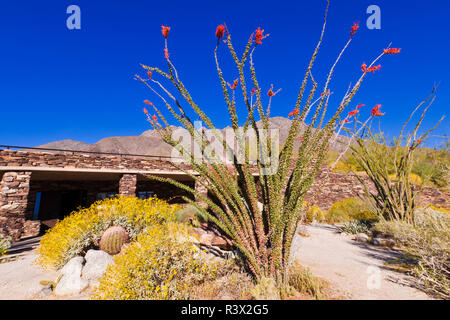 Giardino deserto presso il centro visitatori, Anza-Borrego Desert State Park, California, Stati Uniti d'America. (Solo uso editoriale) Foto Stock