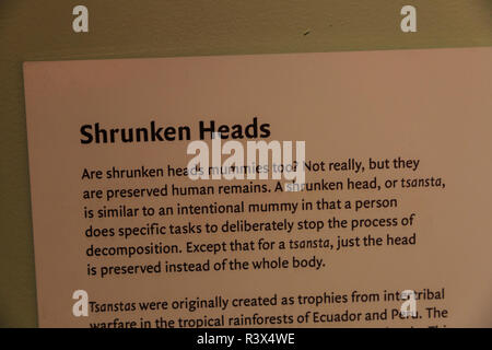 Shrunken Heads sul display, Museo dell'uomo, il Balboa Park, San Diego, California, Stati Uniti d'America Foto Stock