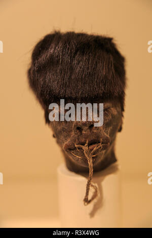 Shrunken Heads sul display, Museo dell'uomo, il Balboa Park, San Diego, California, Stati Uniti d'America Foto Stock