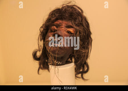 Shrunken Heads sul display, Museo dell'uomo, il Balboa Park, San Diego, California, Stati Uniti d'America Foto Stock