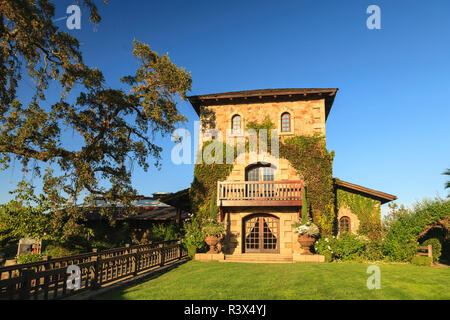 V. Sattui Winery, Sant'Elena, rientrano le uve, Napa, California centrale, STATI UNITI D'AMERICA Foto Stock