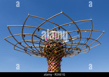 Albero della vita Foto Stock