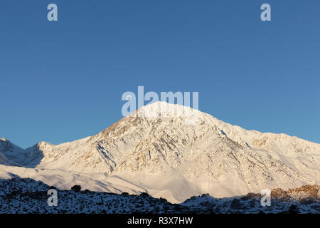 Stati Uniti, California, Sierra Nevada. Luna tramonta dietro a Mt. Tom. Foto Stock