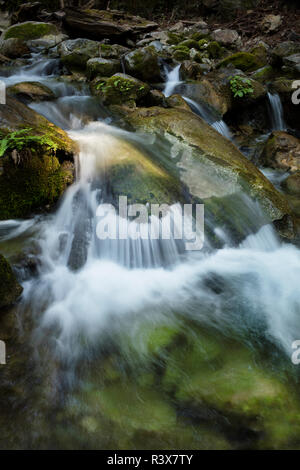 Stati Uniti, California, Big Sur. Limekiln Creek Waterfall scenic. Credito come: Christopher Talbot Frank Jaynes / Galleria / DanitaDelimont.com Foto Stock