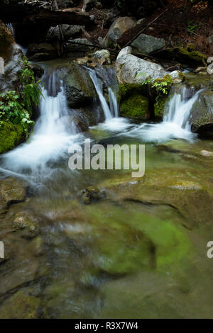 Stati Uniti, California, Big Sur. Lepre Creek cascate. Credito come: Christopher Talbot Frank Jaynes / Galleria / DanitaDelimont.com Foto Stock