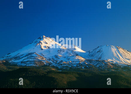 Stati Uniti d'America, in California. Mt. Shasta al tramonto. Foto Stock