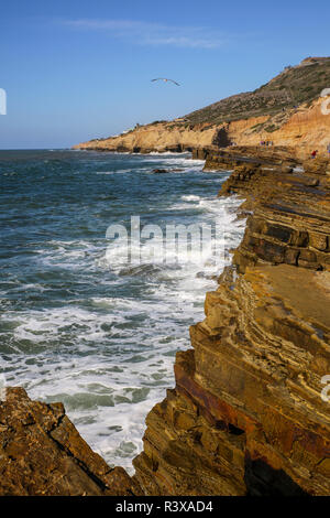 San Diego, punto Lomo pozze di marea, California. Seagull volare sopra le scogliere e crashing surf Foto Stock