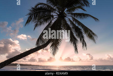 Il tramonto sulla isola di Martinica, French West Indies. Foto Stock