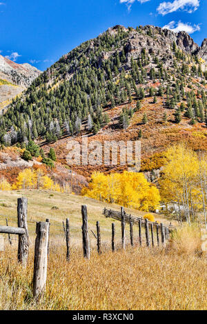 Stati Uniti d'America, Colorado, Ridgway. Linea di recinzione e i colori dell'Autunno Foto Stock