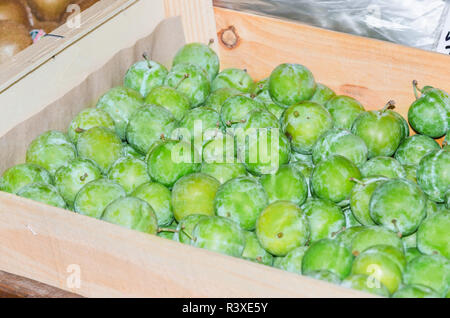 Verde fresco frutta prugne Foto Stock