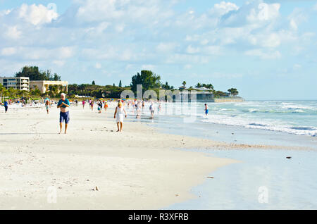 Stati Uniti d'America, Florida, Sarasota, spiaggia a mezzaluna, Siesta Key. Foto Stock