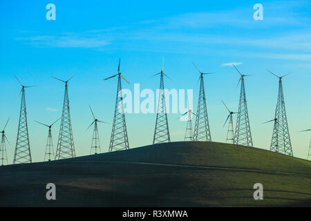 Altamont Pass Wind Farm, la più grande concentrazione mondiale di turbine eoliche, vicino Livermore, California, Stati Uniti d'America Foto Stock