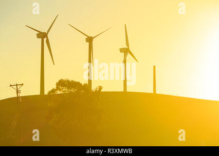 Altamont Pass Wind Farm, la più grande concentrazione mondiale di turbine eoliche, vicino Livermore, California, Stati Uniti d'America Foto Stock