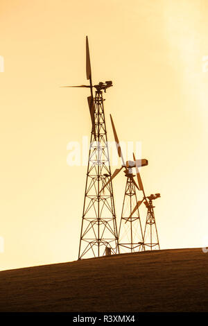 Altamont Pass Wind Farm, la più grande concentrazione mondiale di turbine eoliche, vicino Livermore, California, Stati Uniti d'America Foto Stock