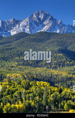 Stati Uniti d'America, Colorado, San Juan Mountains. Mt. Sneffels e paesaggio forestale in autunno. Foto Stock