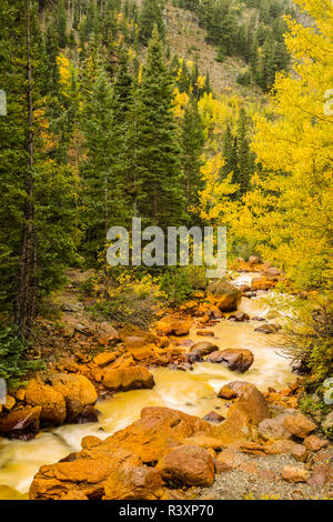 Stati Uniti d'America, Colorado, Red Mountain Pass. Mountain Creek e autunno a colori. Foto Stock