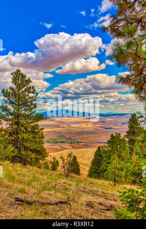 Stati Uniti d'America, Colorado, Colfax. Montagna e paesaggio di fattoria. Credito come: Fred Signore Jaynes / Galleria / DanitaDelimont.com Foto Stock
