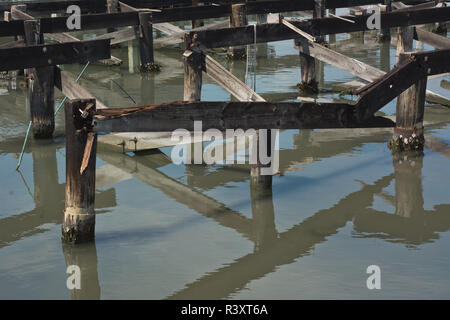 Decadendo Wharf palificazioni lungo la costa del mare Foto Stock