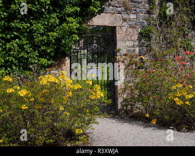 Castello di Ballindalloch e giardini Scottish Highlands cancello di ferro circondato da piante colorate Foto Stock