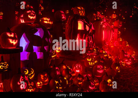 Display di grandi dimensioni di molte varietà di zucche decorate per Halloween, Louisville, Kentucky Foto Stock