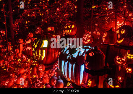 Display di grandi dimensioni di molte varietà di zucche decorate per Halloween, Louisville, Kentucky Foto Stock