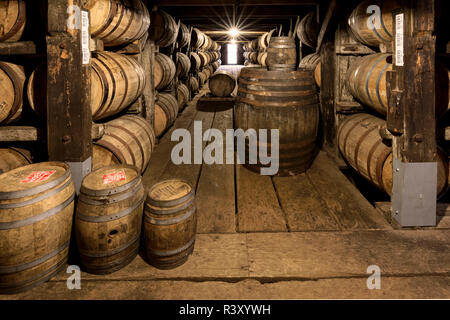 Camera Camera magazzino, Buffalo Trace Distillery, Francoforte, Kentucky (solo uso editoriale) Foto Stock