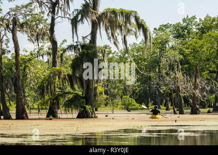 Stati Uniti d'America, Louisiana, Atchafalaya patrimonio nazionale di zona. Il lago di Martin kayakers. Foto Stock