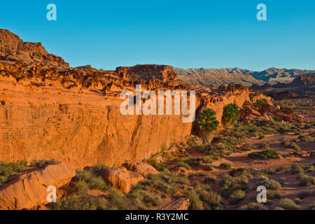 Stati Uniti d'America, Nevada. Mesquite. Gold Butte National Monument, piccola Finlandia Foto Stock