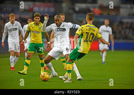 Swansea, Wales, Regno Unito. 24 Nov 2018. Leroy Fer di Swansea City (8) affronta Moritz Leitner di Norwich City nel primo semestre. EFL Skybet partita in campionato, Swansea City v Norwich City al Liberty Stadium di Swansea, Galles del Sud sabato 24 novembre 2018. Questa immagine può essere utilizzata solo per scopi editoriali. Solo uso editoriale, è richiesta una licenza per uso commerciale. Nessun uso in scommesse, giochi o un singolo giocatore/club/league pubblicazioni. pic da Phil Rees/Andrew Orchard fotografia sportiva/Alamy Live news Foto Stock