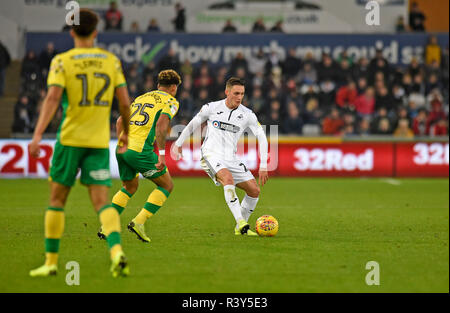 Swansea, Wales, Regno Unito. 24 Nov 2018. Connor Roberts di Swansea City diventa passato Onel Hernandez di Norwich City nel primo semestre. EFL Skybet partita in campionato, Swansea City v Norwich City al Liberty Stadium di Swansea, Galles del Sud sabato 24 novembre 2018. Questa immagine può essere utilizzata solo per scopi editoriali. Solo uso editoriale, è richiesta una licenza per uso commerciale. Nessun uso in scommesse, giochi o un singolo giocatore/club/league pubblicazioni. pic da Phil Rees/Andrew Orchard fotografia sportiva/Alamy Live news Foto Stock