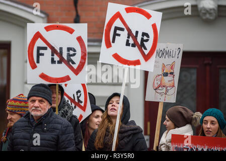 Riga, Lettonia. 24 Nov 2018. Persone con segni - nessun castoro, partecipando a marzo per gli animali in Riga, Lettonia. Il più grande animale advocacy evento nella storia della Lettonia. Credito: Gints Ivuskans/Alamy Live News Foto Stock